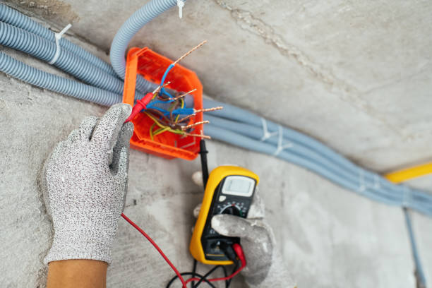 Best Licensed Electrician  in Warm Springs, CA
